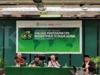 Diskriminasi terhadap sawit meningkat, manfaat sertifikat RSPO dipertanyakan