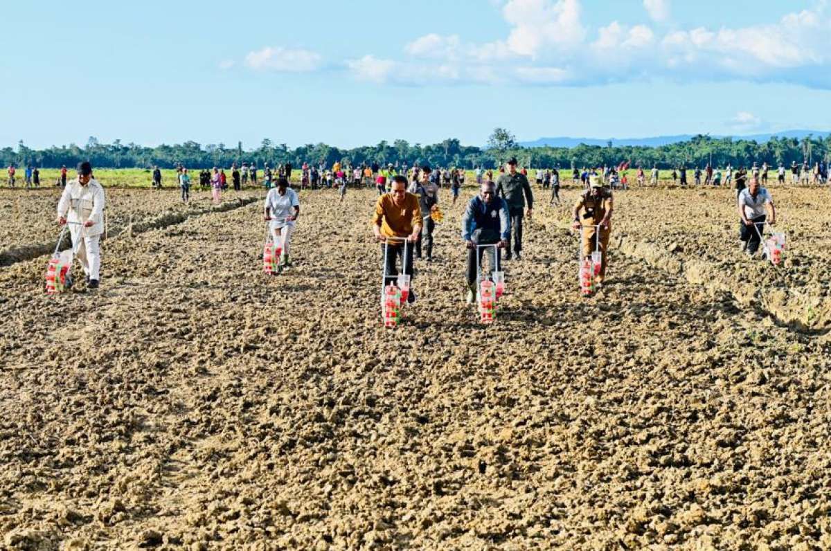 Pemerintah Siapkan Perpres Pemetaan Food Estate