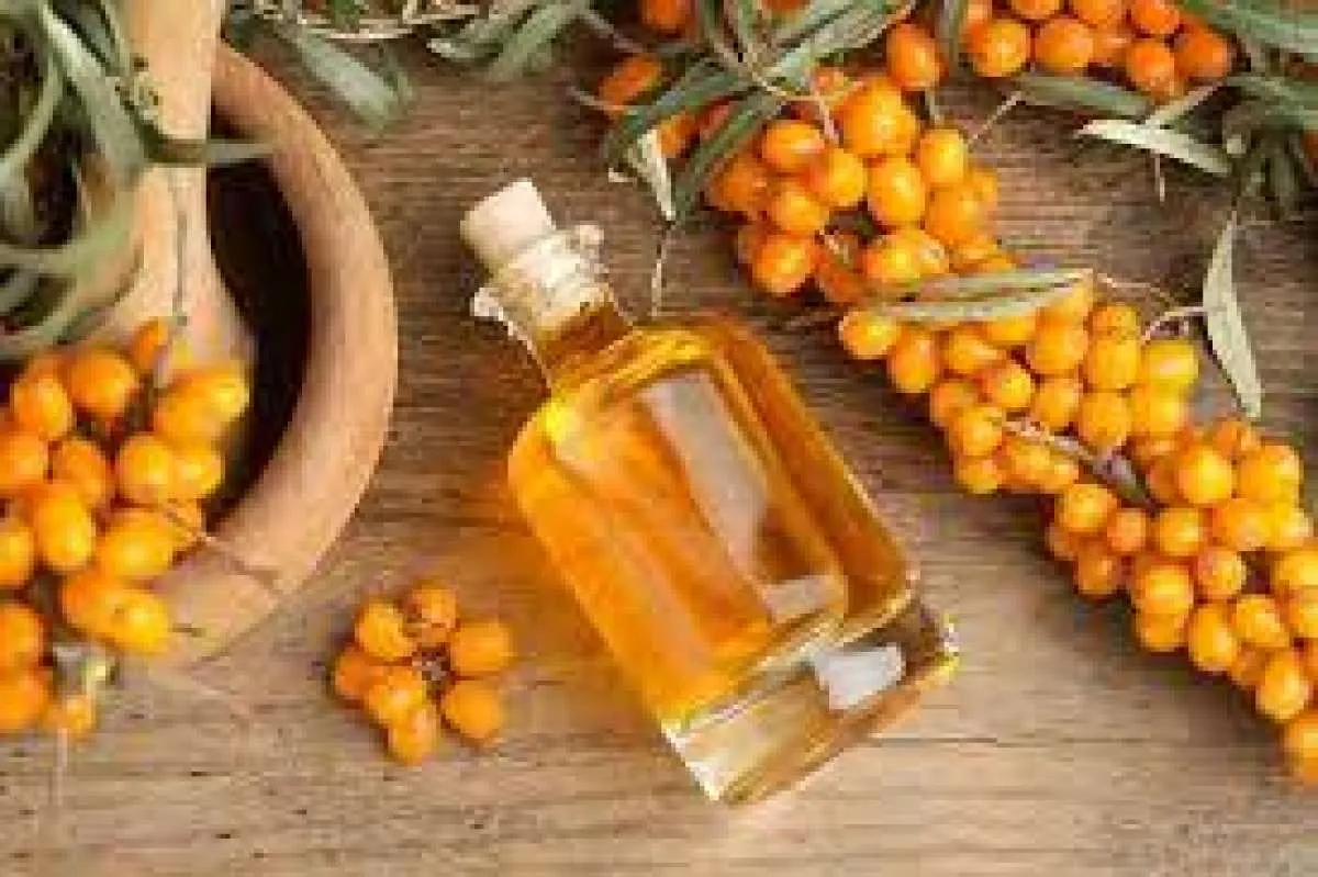5 Manfaat Sea Buckthorn untuk Wajah, Dapatkan Kulit Lembab!