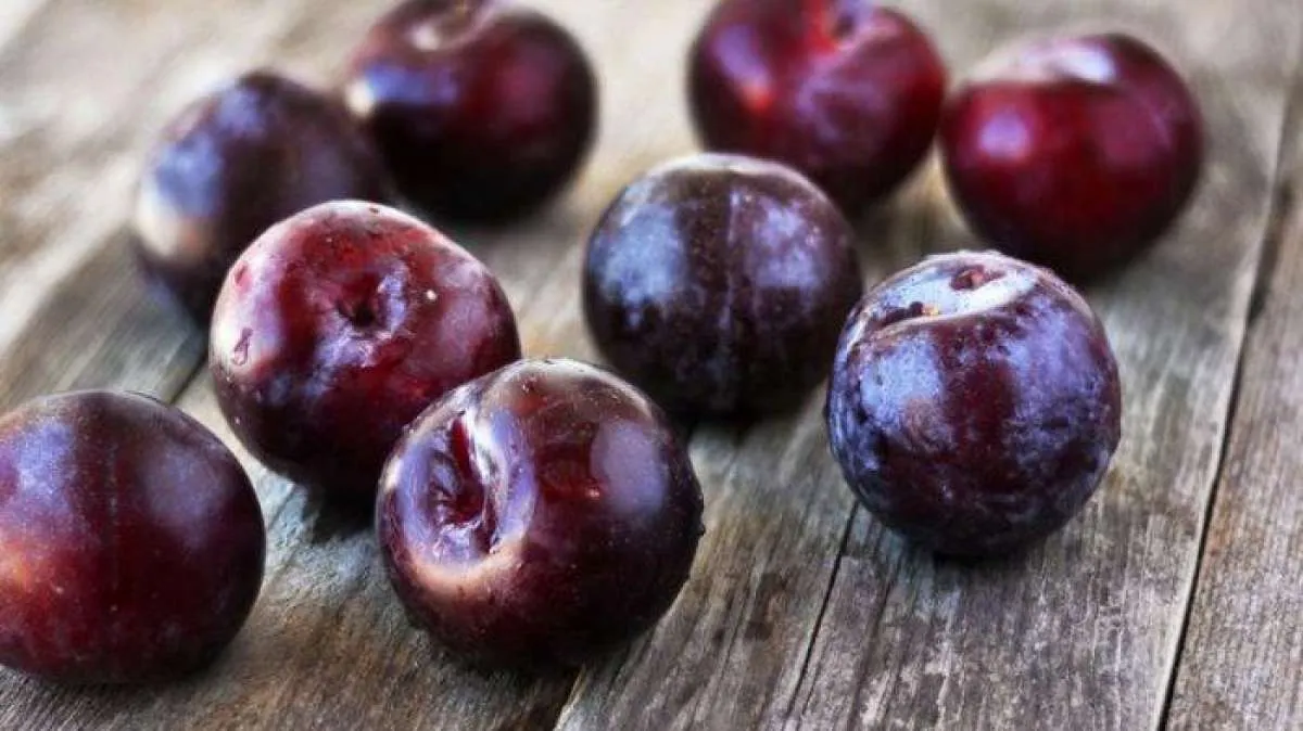 Ada Beberapa Manfaat Buah Plum untuk Tubuh yang Sudah Teruji Klinis