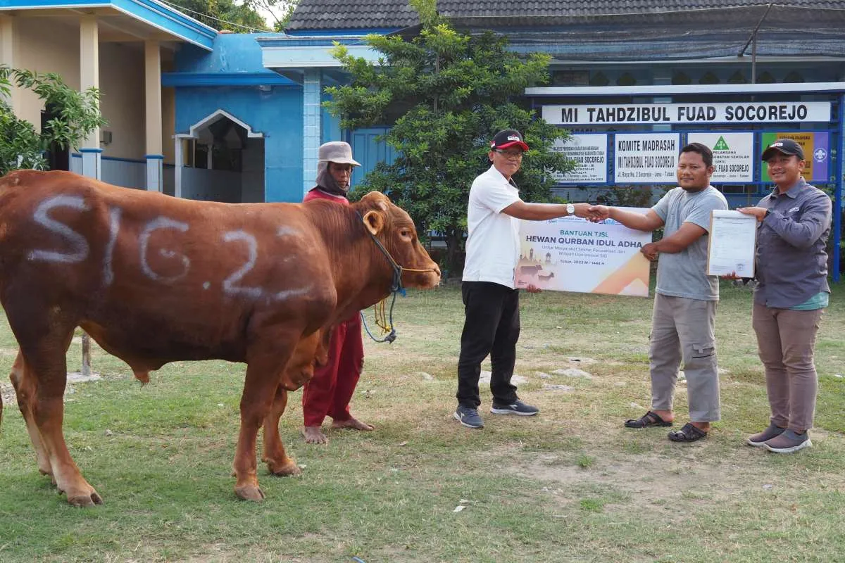 Momen Idul Adha, Semen Indonesia (SIG) Salurkan 489 Hewan Kurban di 20 Provinsi