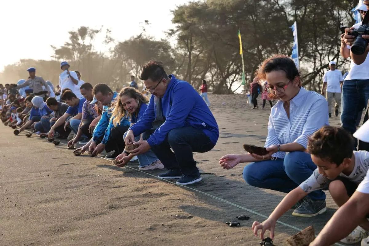 Fasilitas Baru Perkuat Konservasi Penyu di Pantai Goa Cemara, Bantul, DIY