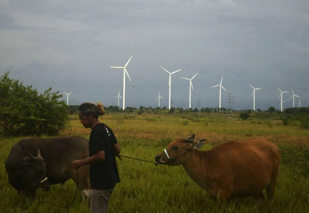 Lemot Perkembangan Energi Terbarukan Indonesia, Ada Apa ya?