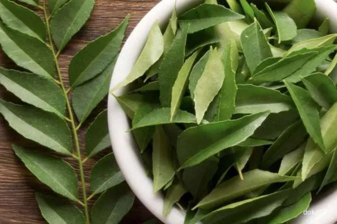 10 Rekomendasi Penurun Gula Darah Alami untuk Penderita Hiperglikemia