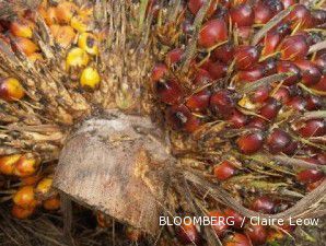 SMART Bantah Rusak Hutan di Kalimantan