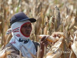 DPR Integrasikan Resi Gudang dan Perdagangan Komoditas