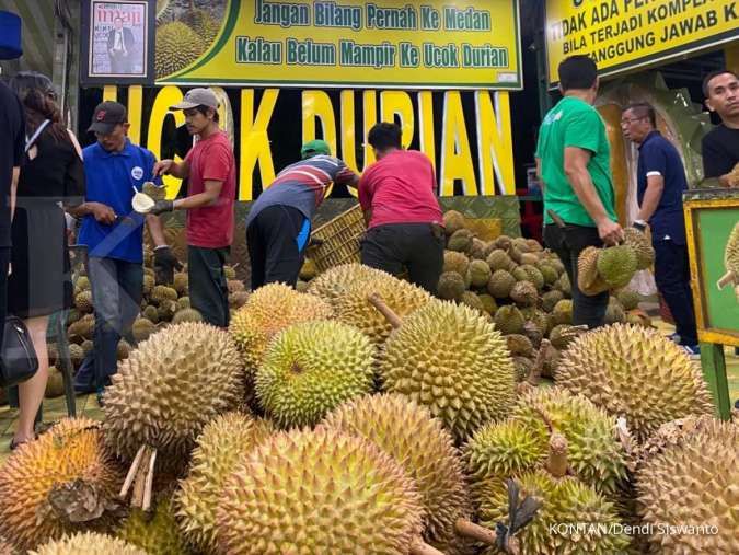 Wangi Cuan Ucok Durian Berkat Durian Sumatra