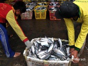 KIPP usut permohonan safeguard impor ikan kembung
