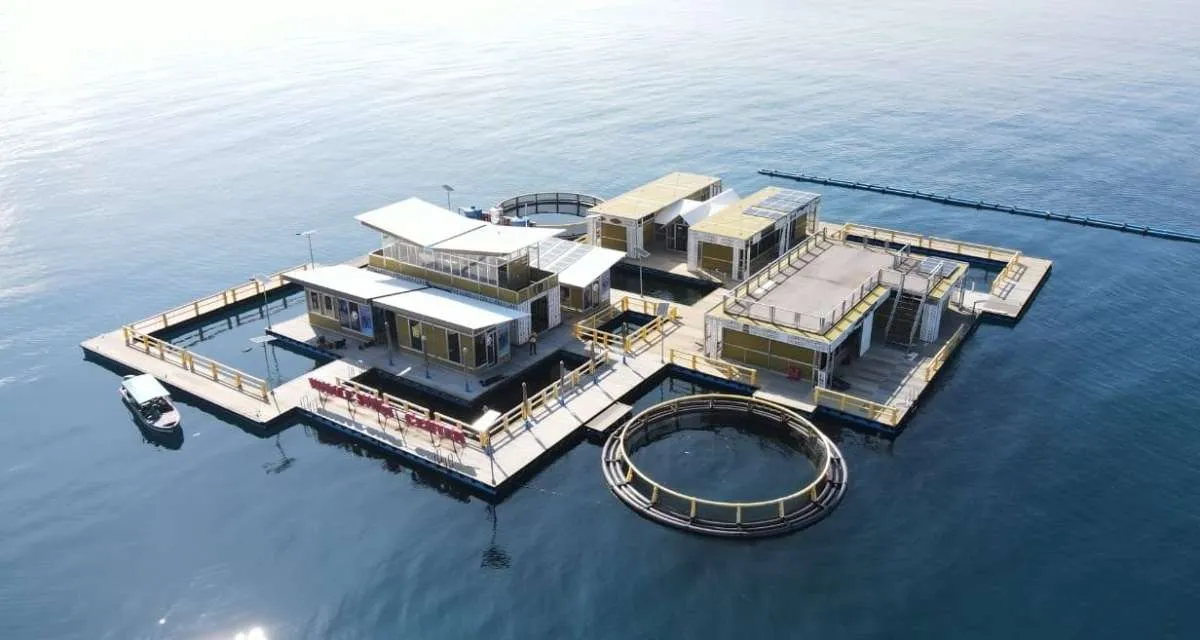 BBTNTC Bersama Pertamina Foundation Komitmen Menjaga Kelestarian Hiu Paus di TNTC