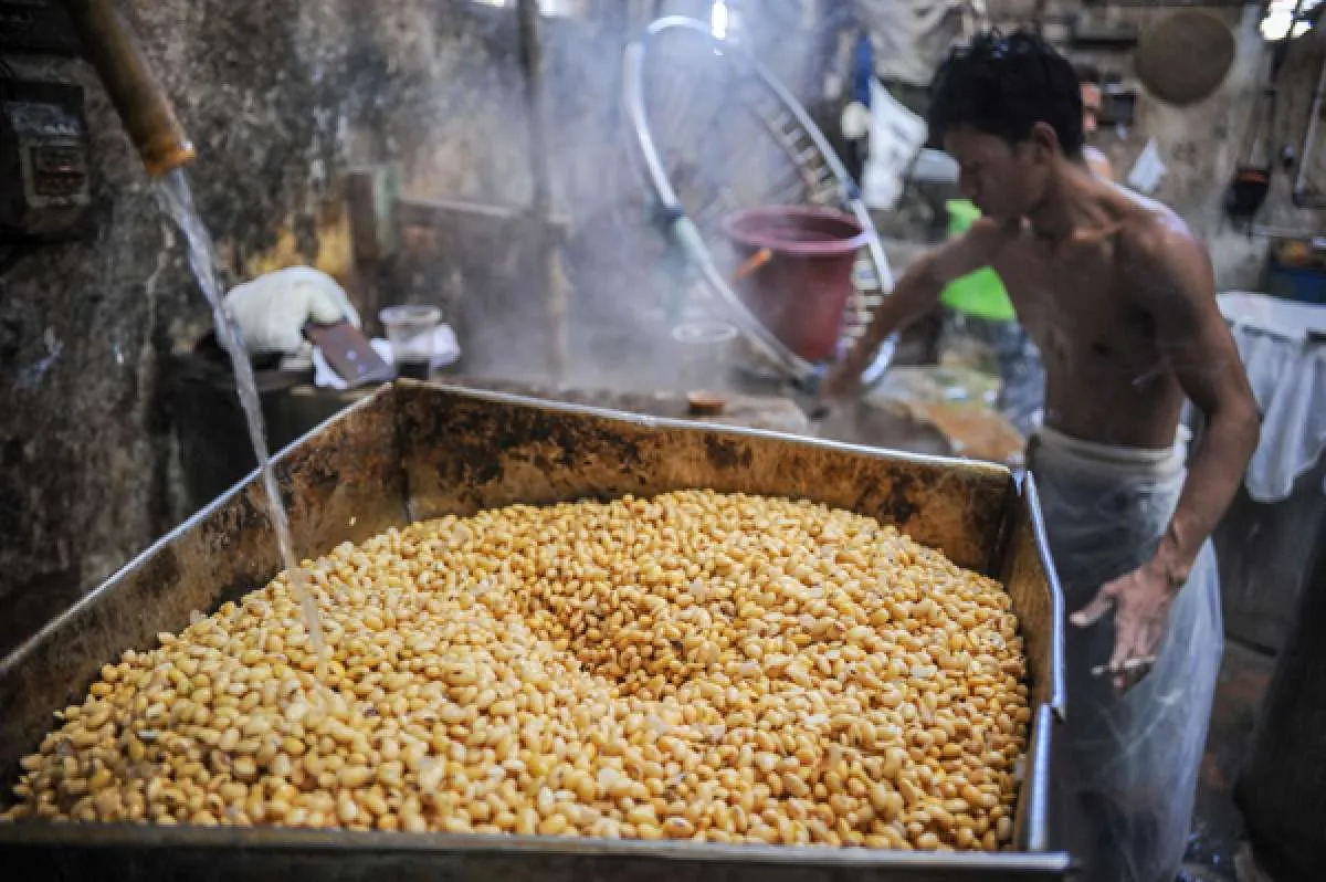 Kenaikan Harga Kedelai Global dapat Mengerek Harga Tempe Tahu dalam Negeri