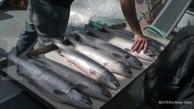 RI undang Norwegia buka industri pengolahan Salmon