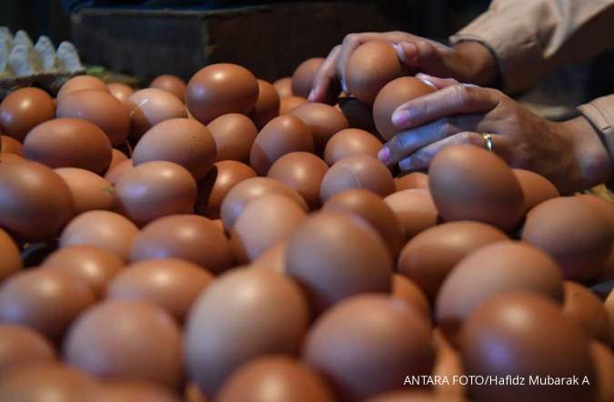 Malaysia Buka Kran Impor Sementara Telur Ayam untuk Mengatasi Kekurangan