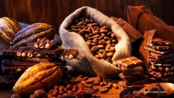 Ini Manfaat Kakao untuk Kesehatan Penderita Penyakit Ginjal