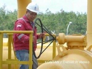 PGAS berharap bisa memasok gas ke seluruh pembangkit listrik PLN