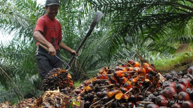 Cuaca buruk, CPO sepekan justru diprediksi turun