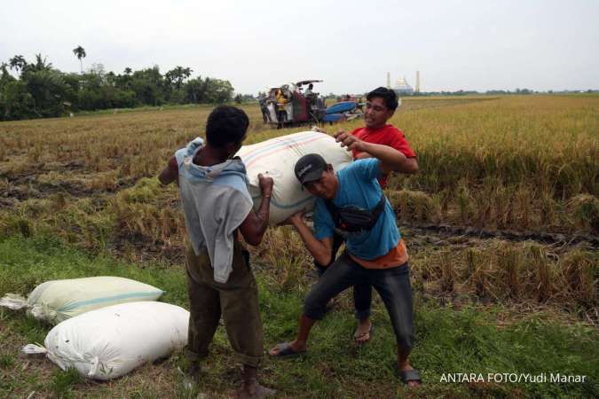 Nilai Tukar Petani Naik Jadi 129,19 Pada Agustus 2026