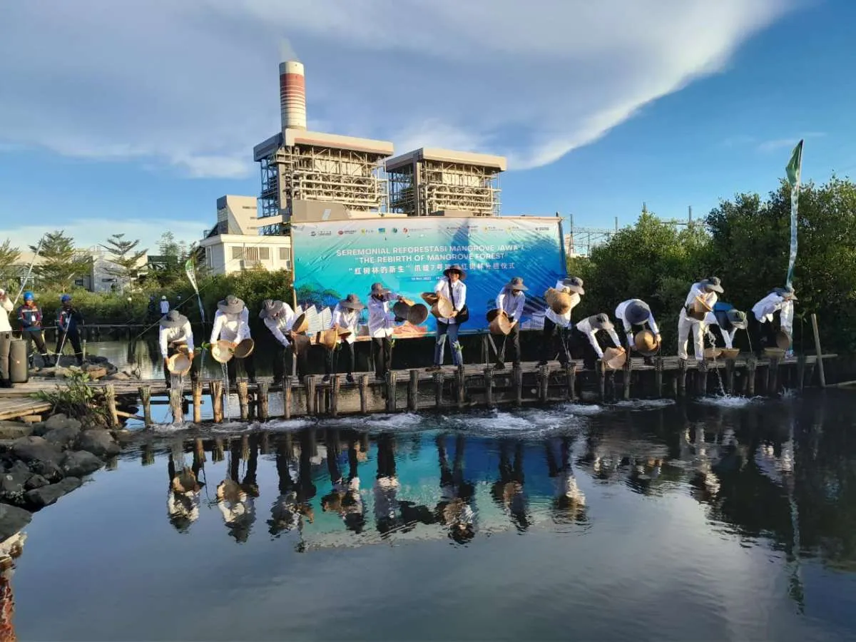 Reforestasi Mangrove di PLTU Jawa 7 Sudah 19 Ha, PT SGPJB Terapkan Green Development