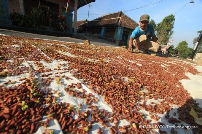 Produksi cengkeh tidak terdampak elnino