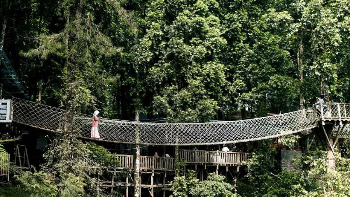 Kembanglangit Park, tempat wisata terbaru di antara jalur Batang dan Dieng