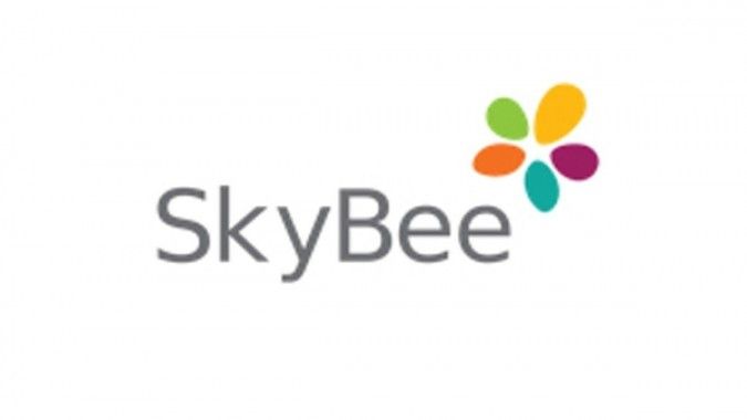 Perbaiki kinerja, Skybee jajaki diversifikasi bisnis