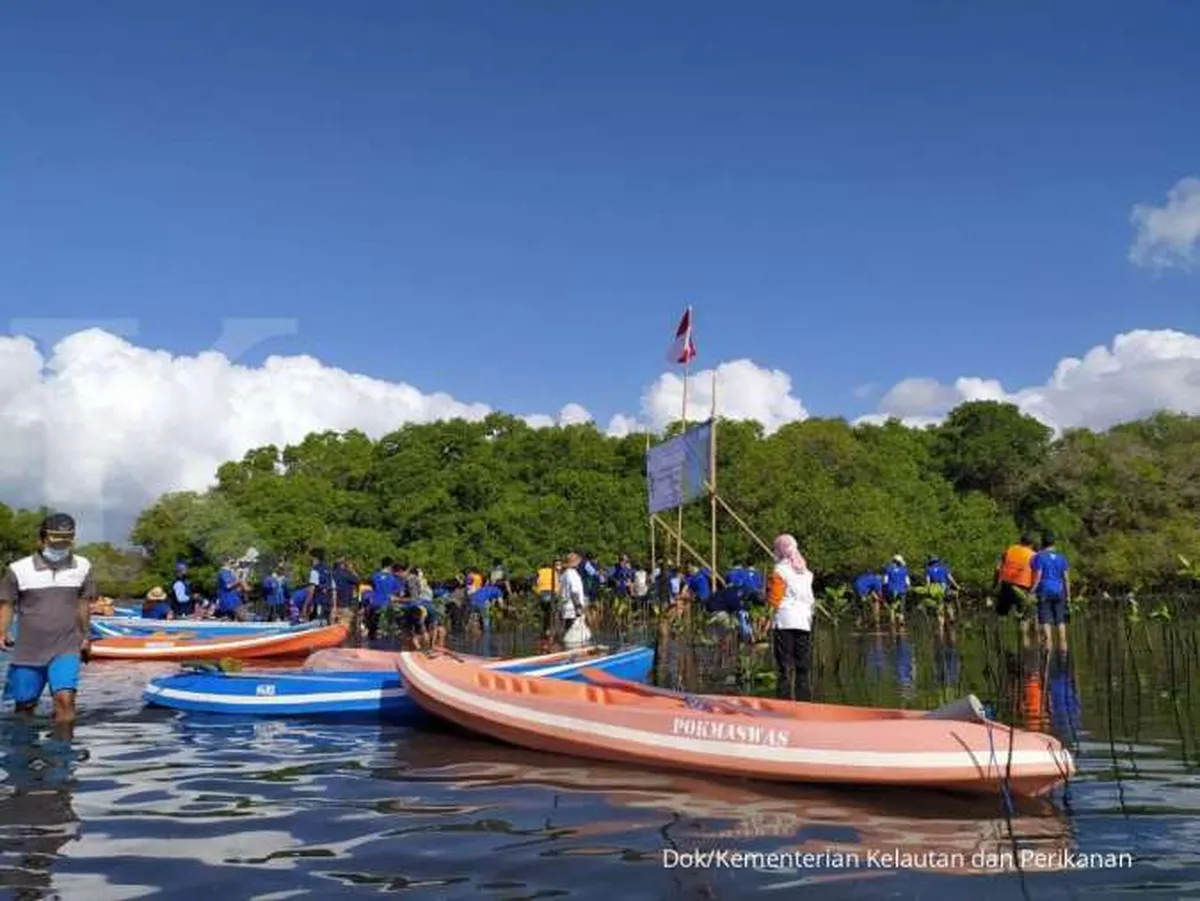 KKP perketat pemberian izin pemanfaatan ruang laut berisiko tinggi