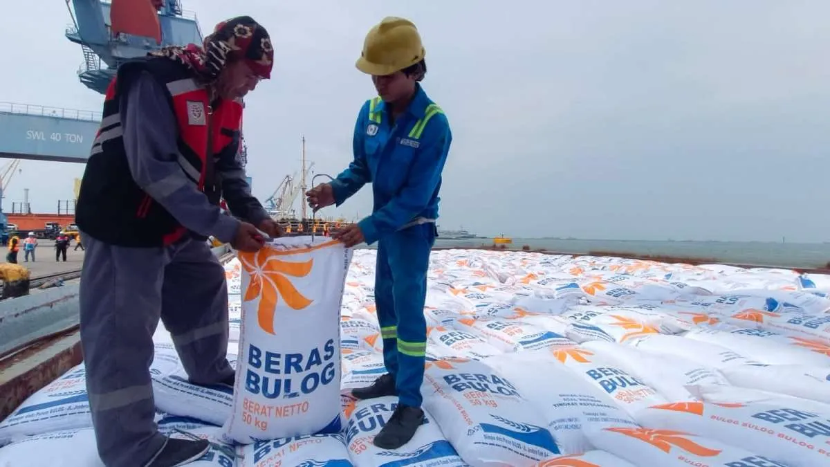 Kehadiran Beras Impor Diyakini Dapat Memperkuat Cadangan Beras Pemerintah