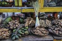 Punya Lahan 1 Ha, UMKM KWT Kenanga Medco Bangun Rumah Produksi Produk Herbal