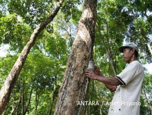 Harga jual karet alam tertinggi sepanjang tahun