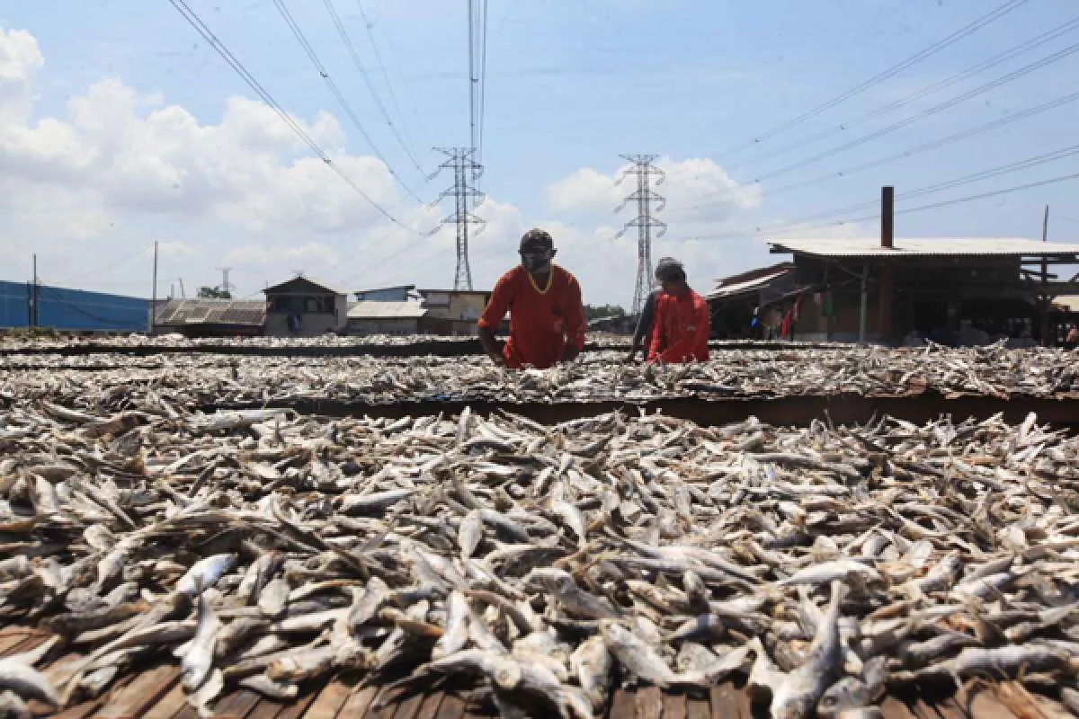 Ini alasan DPR tambahkan NTP dan NTN ke dalam indikator asumsi makro RAPBN 2021