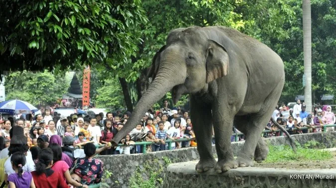 Ragunan to give animals weekly day off