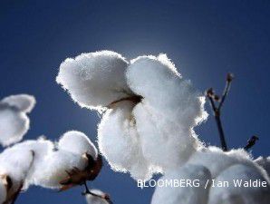 Industri tekstil domestik meningkat, China impor kapas 20 juta bal