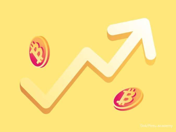 Strategi Buy the Dip dalam Investasi Aset Crypto