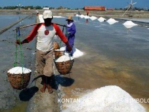 Harga murah dituding sebagai penyebab produksi garam yang rendah