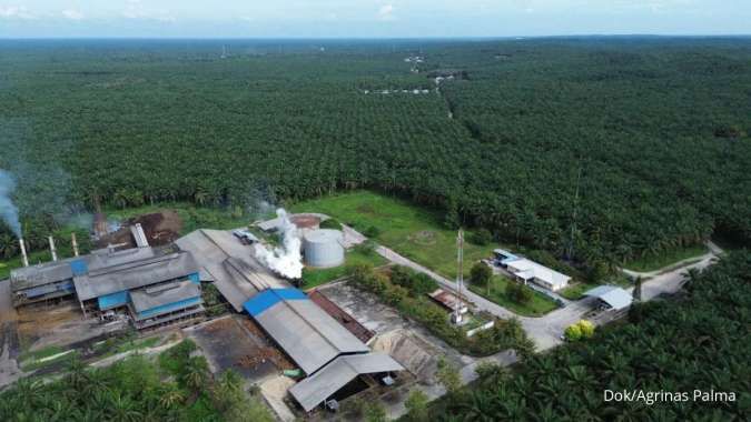 Agrinas Palma Catat Surplus Rp 2,86 Triliun dari Pengelolaan Aset Perkebunan Negara