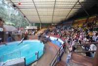 Siapa Pendiri Taman Safari Indonesia? Intip Sosok Jansen Manansang