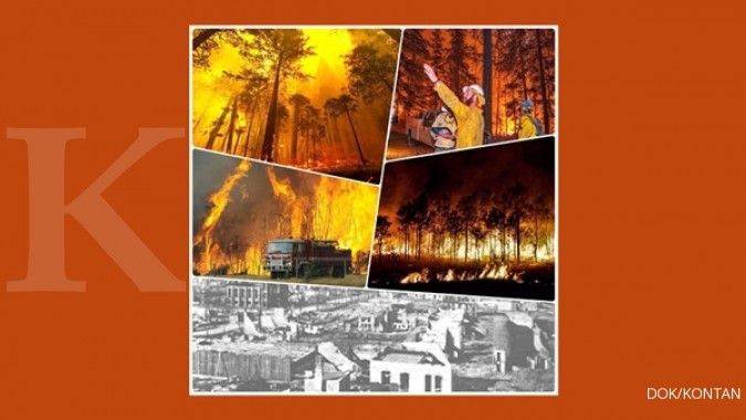 5 Kebakaran hutan terluas di dunia 