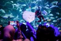 Bisnis Rekreasi Mengalap Berkah Nataru