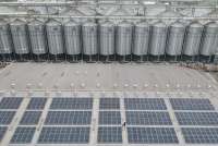 Operasikan PLTS Berkapasitas 1 MWp, Bogasari Bisa Berhemat Rp 390 Juta per Tahun