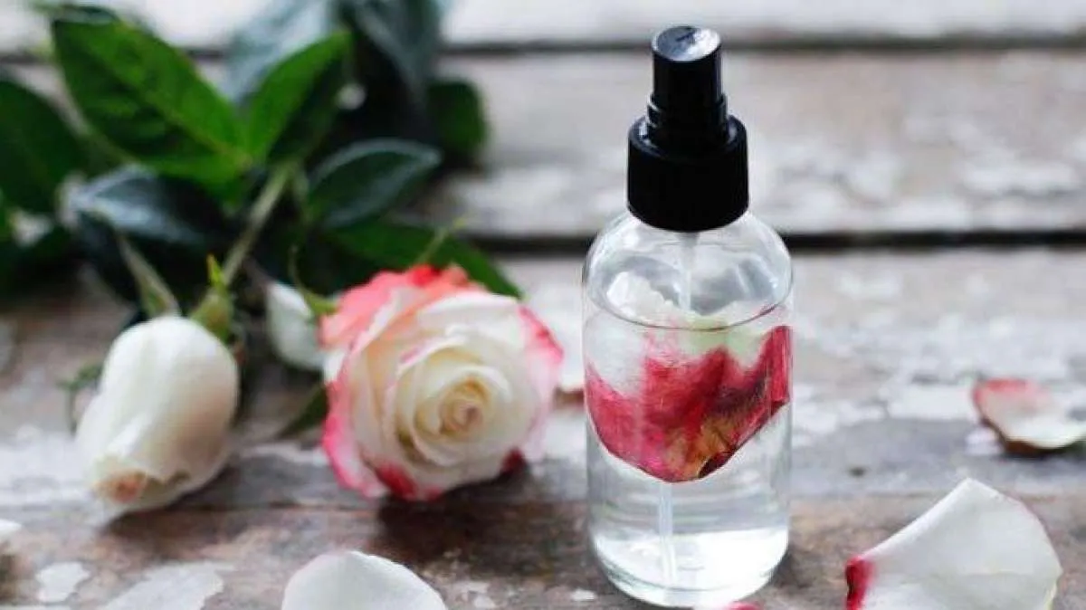 Bisa Hilangkan Ketombe, Ini 5 Manfaat Air Mawar bagi Kesehatan Rambut