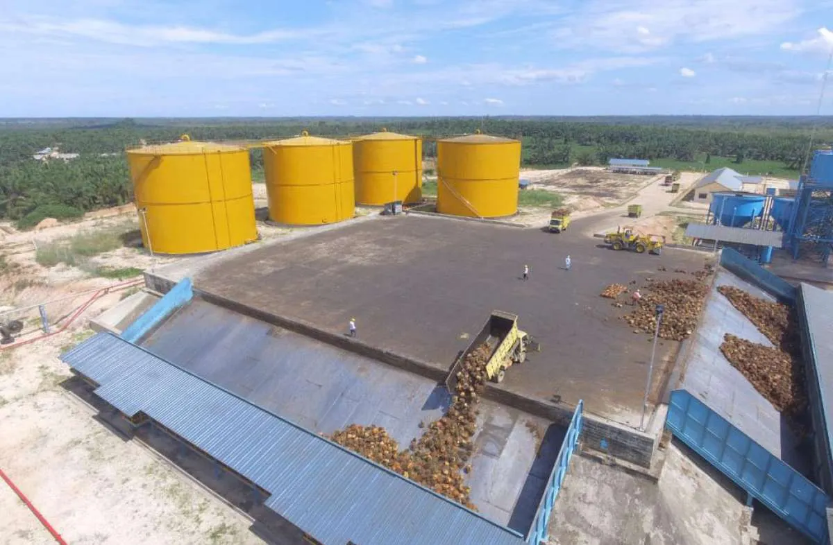 Pradiksi Gunatama (PGUN) Catat Produksi TBS 110.070 Ton Hingga Agustus 2024