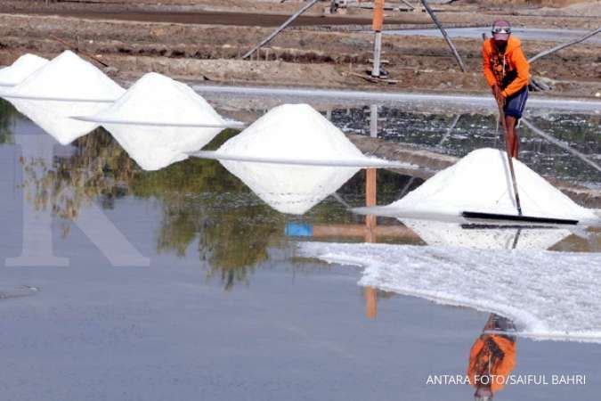 Jokowi: Sebanyak 738.000 ton garam rakyat tak terserap