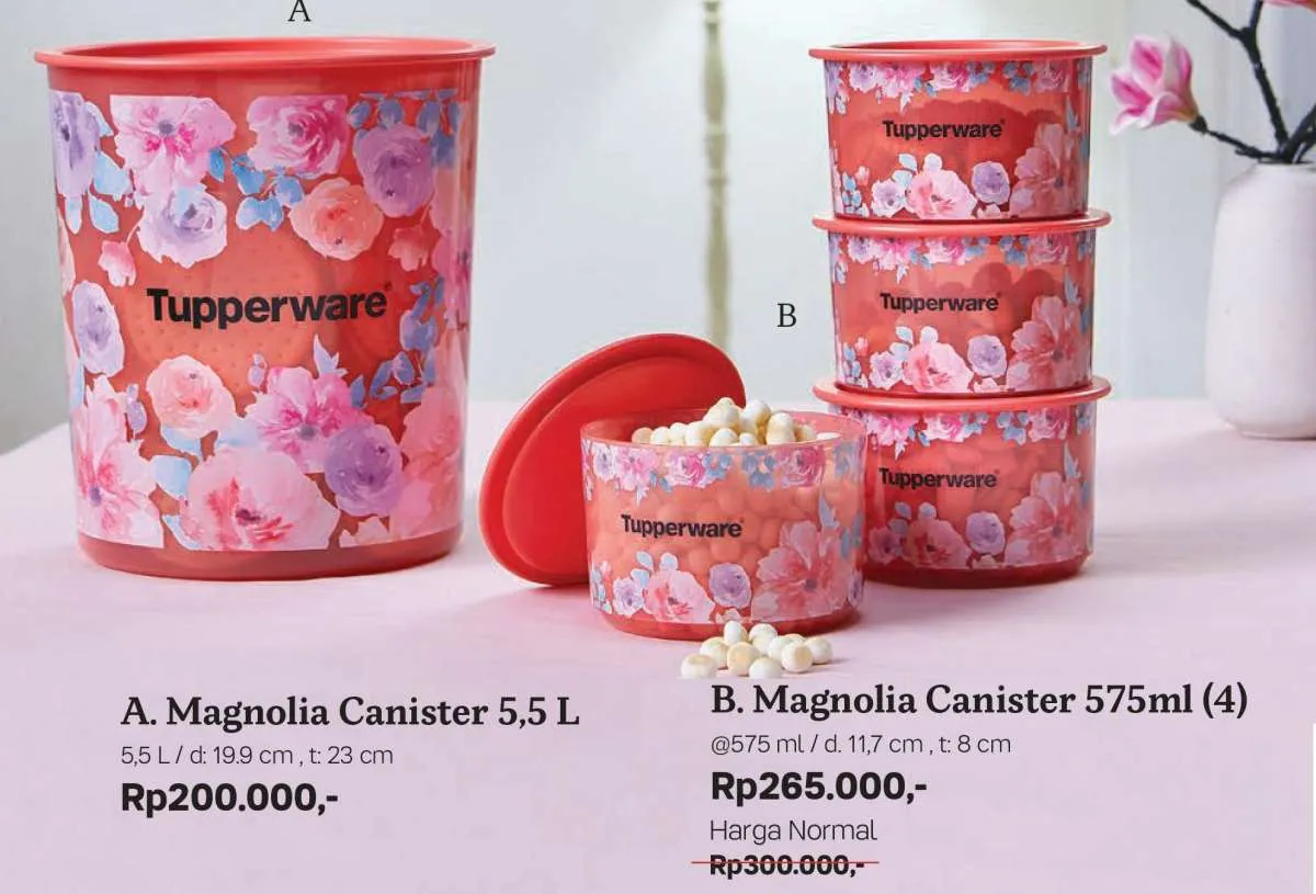 Katalog promo Tupperware Februari khusus tempat snack, ada potongan harga