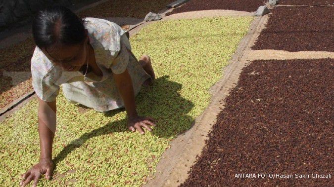 Produksi dan Harga Cengkeh Terus Naik