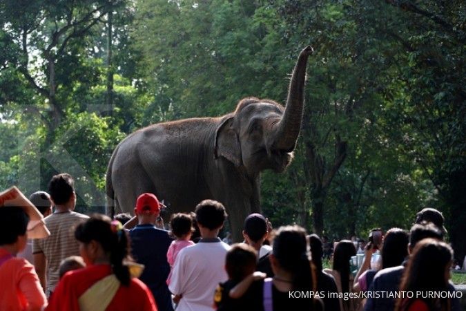 H+1 Lebaran, Taman Margasatwa Ragunan diserbu 24.000 pengunjung