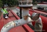Mungkinkah Surplus Solar Dikonversi Jadi Avtur? Begini Kata Ahli Teknik Perminyakan