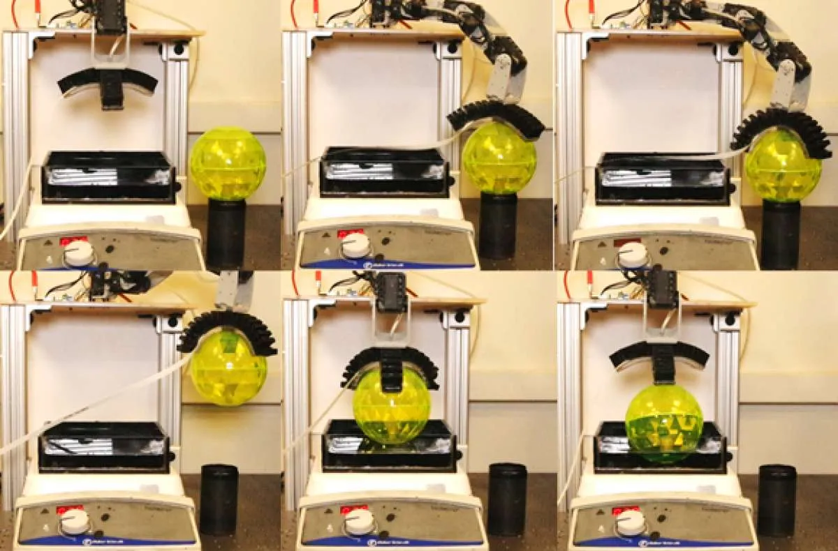 Merekayasa genetika bakteri, peneliti gunakan robot lunak