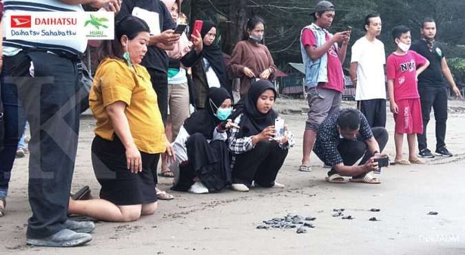 Daihatsu rangkul 6 konservasi penyu di berbagai wilayah Indonesia