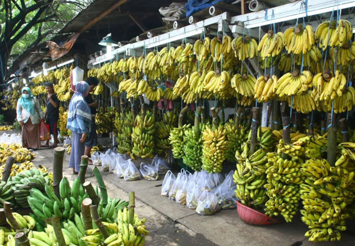 Lengkap, ini tata cara menyembuhkan diare dengan obat dan bahan alami