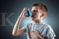 Fakta WHO: Asma, Penyakit Paru Kronis yang Dapat Dikendalikan