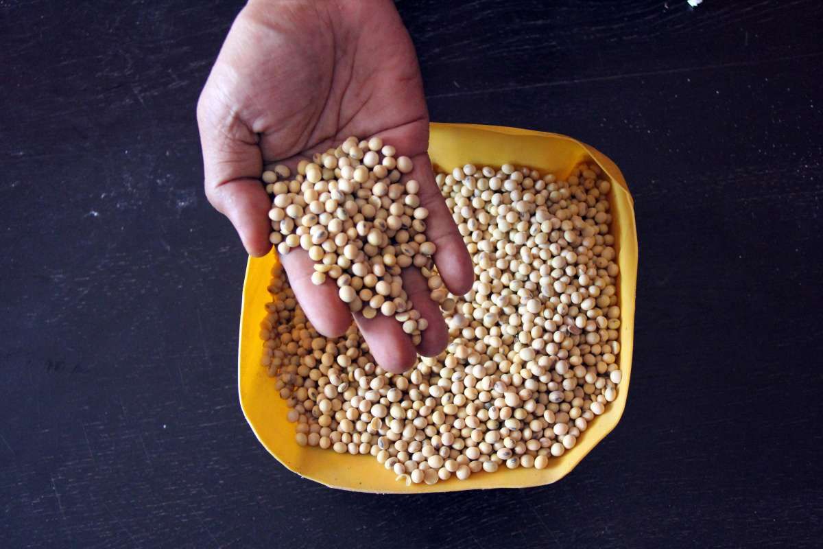 Jaga Harga di Dalam Negeri, India Pangkas Bea Masuk Minyak Kedelai dan Bunga Matahari